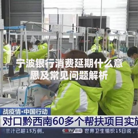 宁波银行消费延期什么意思及常见问题解析