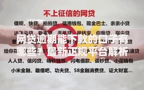网贷逾期能下款的口子有哪些？最新正规平台解析