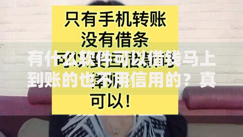 有什么软件可以借钱马上到账的也不用信用的？真实测评与避坑指南