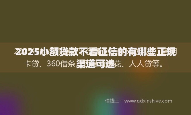 2025小额贷款不看征信的有哪些正规渠道可选