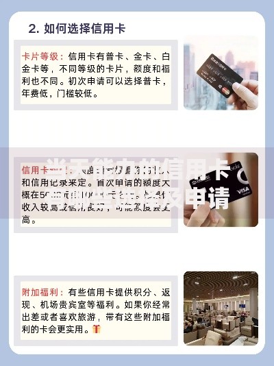 当天能办的信用卡有哪些选择及申请攻略
