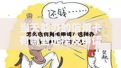 当天能办的信用卡有哪些选择及申请攻略
