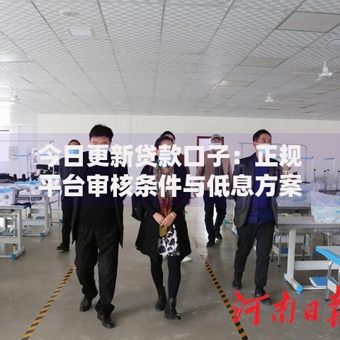 今日更新贷款口子：正规平台审核条件与低息方案详解