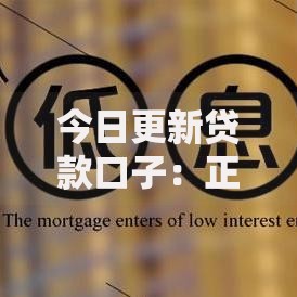 今日更新贷款口子：正规平台审核条件与低息方案详解