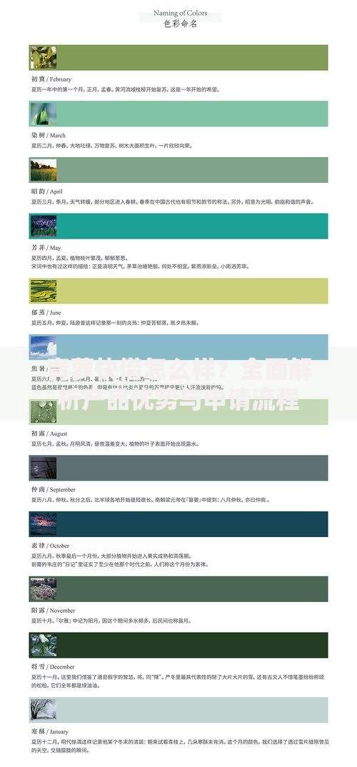 青萝快借怎么样？全面解析产品优势与申请流程