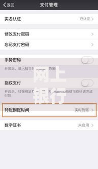 网上银行转账多久到账？到账时间全解析及实用建议
