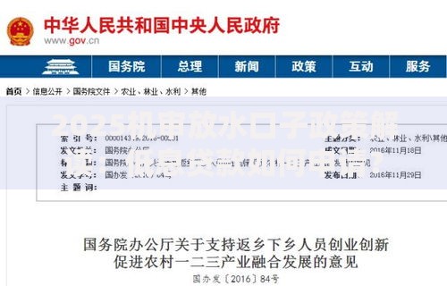 2025机审放水口子政策解读：低息贷款如何申请？
