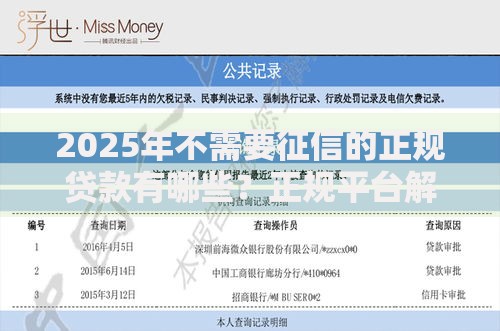 2025年不需要征信的正规贷款有哪些？正规平台解析