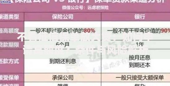 不看征信保单放大贷：如何申请高额度？条件与风险解析