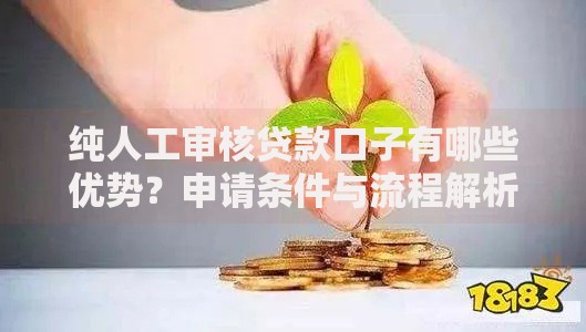 纯人工审核贷款口子有哪些优势？申请条件与流程解析