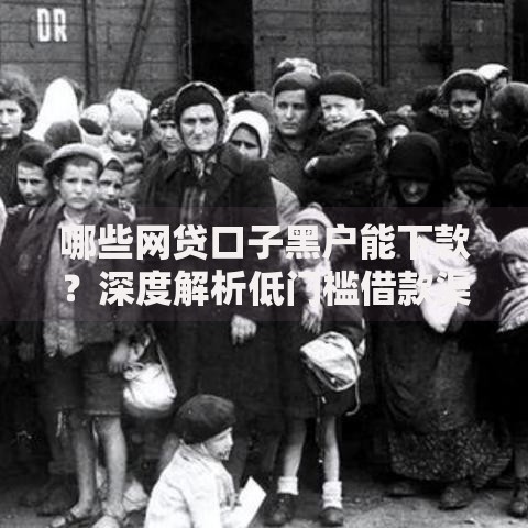 哪些网贷口子黑户能下款？深度解析低门槛借款渠道