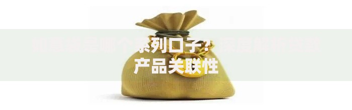 如意袋是哪个系列口子？深度解析贷款产品关联性