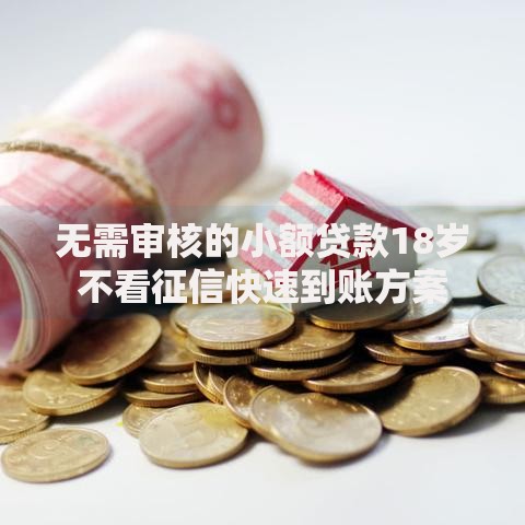 无需审核的小额贷款18岁不看征信快速到账方案