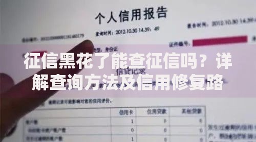 征信黑花了能查征信吗？详解查询方法及信用修复路径