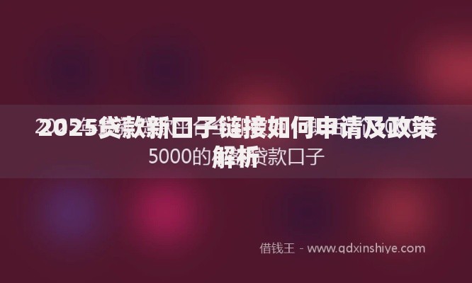 2025贷款新口子链接如何申请及政策解析