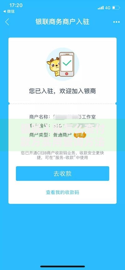 银联入账怎么查付款方实用查询方法及常见问题解析