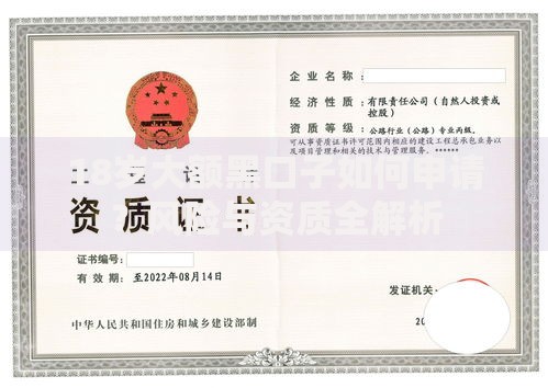 18岁大额黑口子如何申请？风险与资质全解析