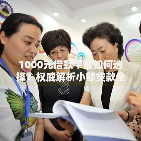 1000元借款平台如何选择？权威解析小额贷款全流程