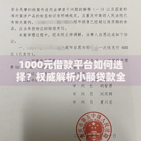 1000元借款平台如何选择？权威解析小额贷款全流程