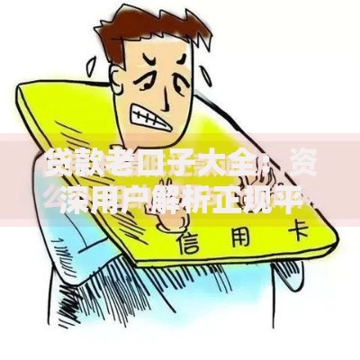 贷款老口子大全：资深用户解析正规平台选择与避坑指南
