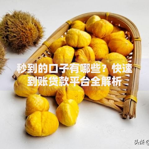 秒到的口子有哪些？快速到账贷款平台全解析