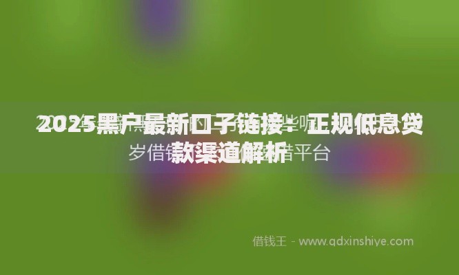 2025黑户最新口子链接：正规低息贷款渠道解析