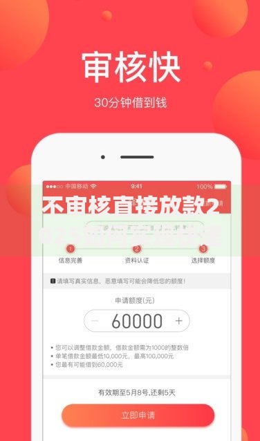 不审核直接放款2025如何实现快速借贷