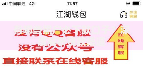 有哪些黑户必下款口子？深度解析贷款渠道