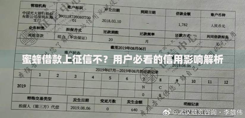 蜜蜂借款上征信不？用户必看的信用影响解析