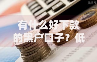 有什么好下款的黑户口子？低门槛贷款渠道深度解析