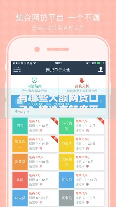 有哪些大额网贷口子？精选高额度平台及申请攻略