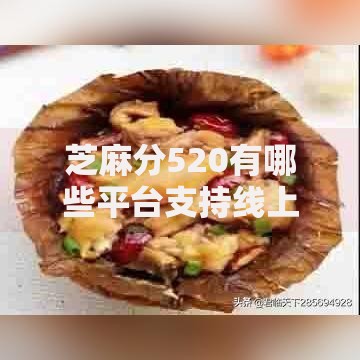 芝麻分520有哪些平台支持线上审批？低分用户必看攻略