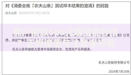 黑户借款500元哪里能秒借？正规渠道与注意事项解析