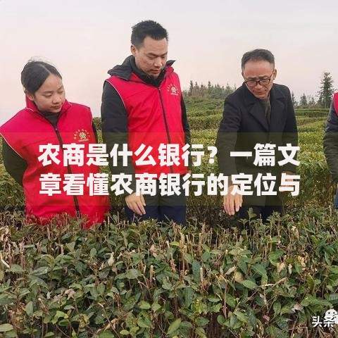 农商是什么银行？一篇文章看懂农商银行的定位与服务