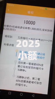 2025小额度黑户借款必下口子如何申请？最新渠道解析
