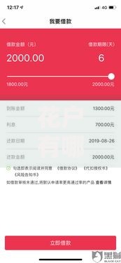 花户有哪些口子能下款？解析正规渠道与申请技巧