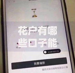 花户有哪些口子能下款？解析正规渠道与申请技巧