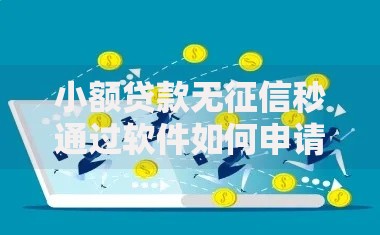 小额贷款无征信秒通过软件如何申请？安全使用全解析