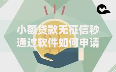 小额贷款无征信秒通过软件如何申请？安全使用全解析