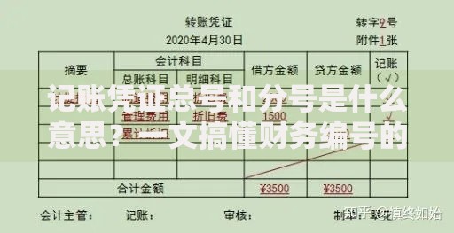 记账凭证总号和分号是什么意思？一文搞懂财务编号的门道
