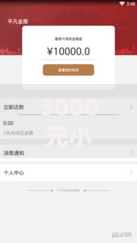 3000元小额借款百分百成功：如何零门槛快速到账