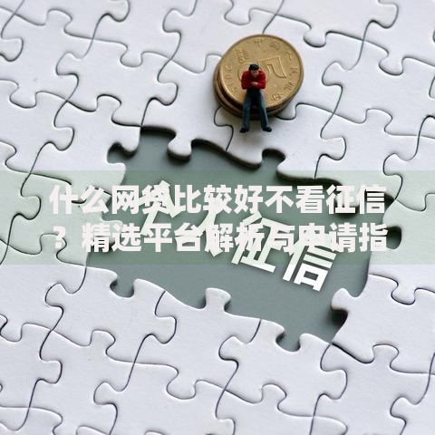 什么网贷比较好不看征信？精选平台解析与申请指南