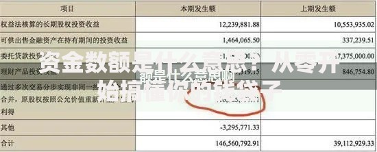 资金数额是什么意思？从零开始搞懂你的钱袋子
