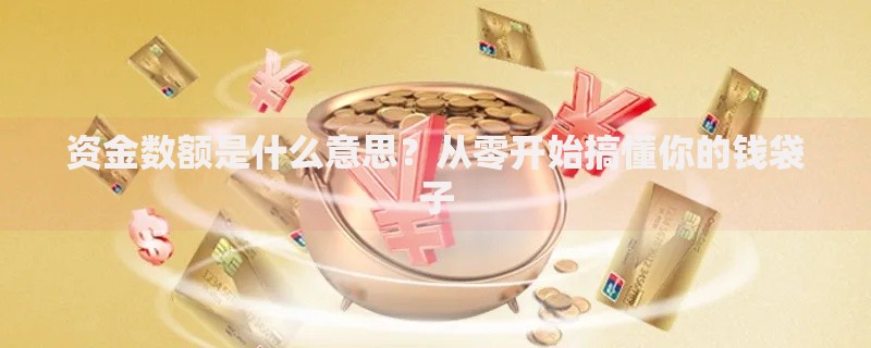 资金数额是什么意思？从零开始搞懂你的钱袋子