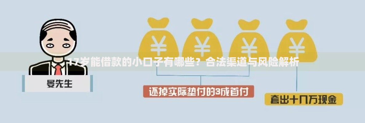 17岁能借款的小口子有哪些?合法渠道与风险解析 17岁能借款的小口子有哪些?合法渠道与风险解析