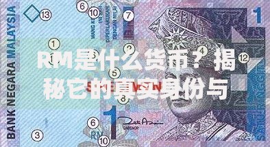RM是什么货币？揭秘它的真实身份与全球使用场景