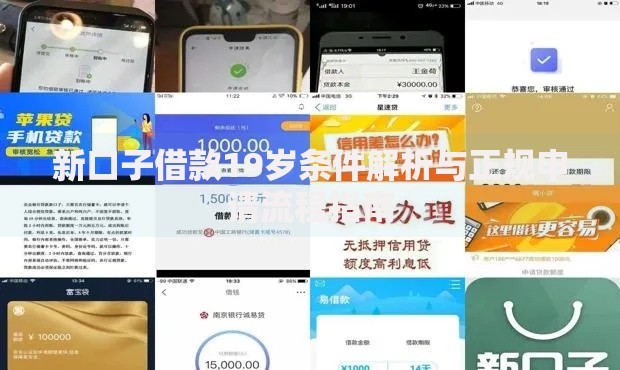 新口子借款19岁条件解析与正规申请流程指南