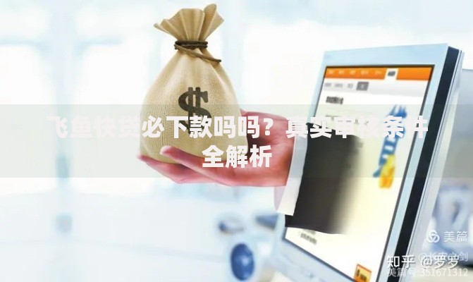 飞鱼快贷必下款吗吗？真实审核条件全解析