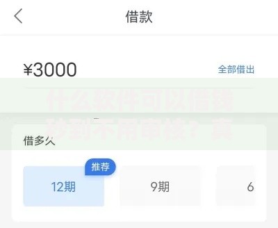 什么软件可以借钱秒到不用审核？真实存在吗