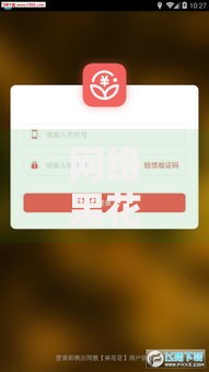 网络黑花了借款新口子是什么？如何识别风险与正规渠道对比